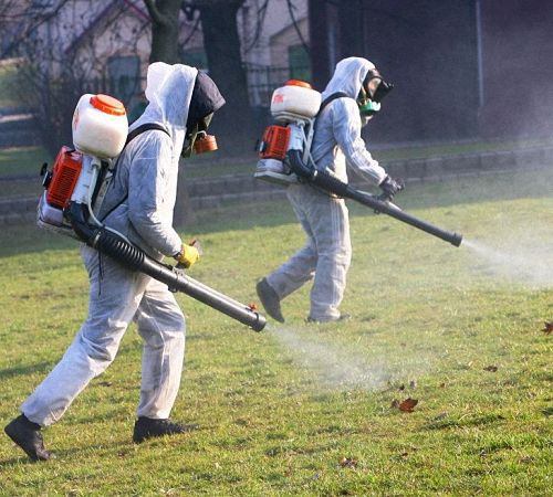 Обработка газона от клещей в Белгороде и области. Цены